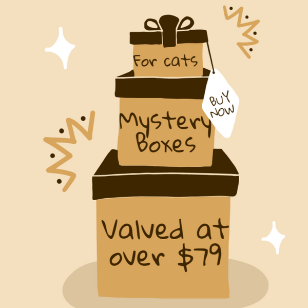 Mystery Boxes Cats